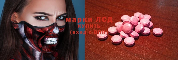 индика Бронницы