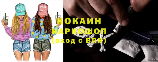 индика Бронницы
