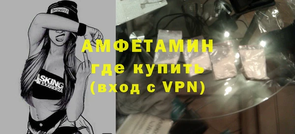 индика Бронницы