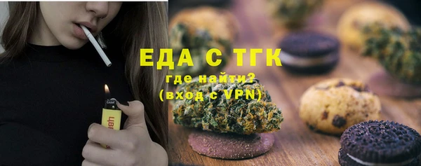 индика Бронницы