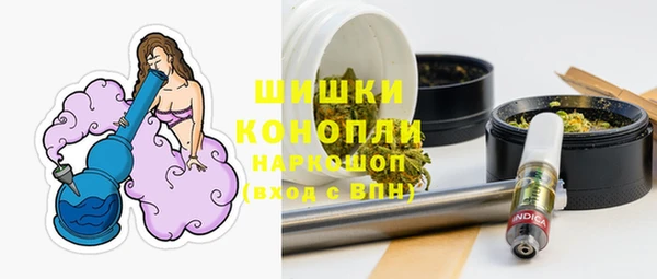 бошки Бородино
