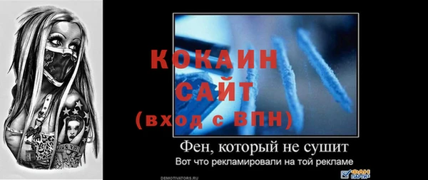 индика Бронницы