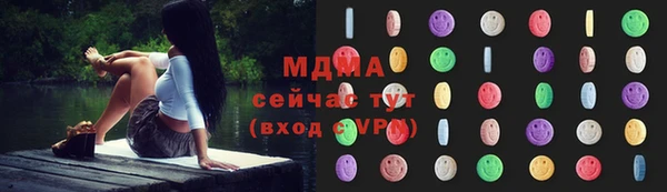 индика Бронницы