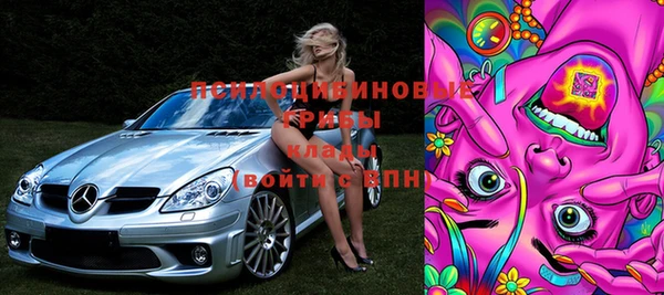 бошки Бородино