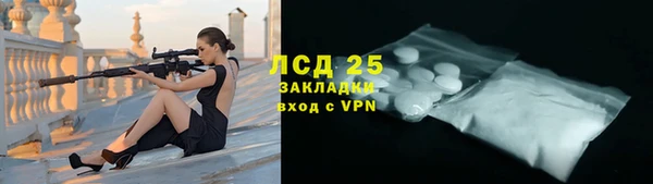 прущие грибы Бугульма
