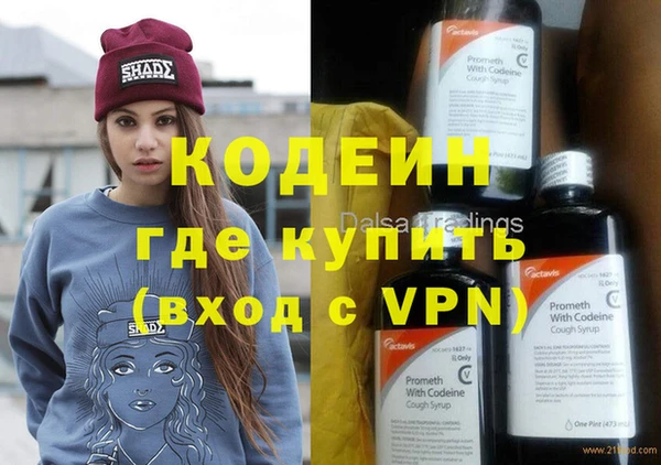 индика Бронницы