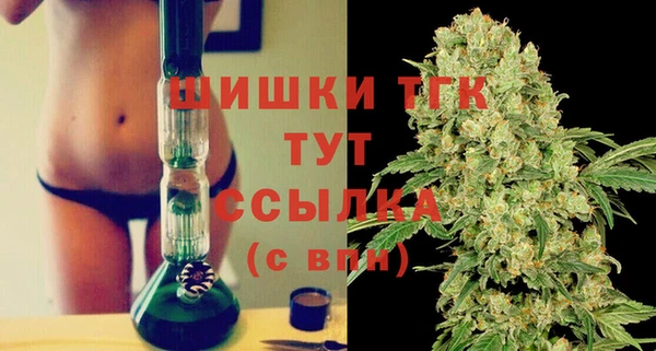 прущие грибы Бугульма