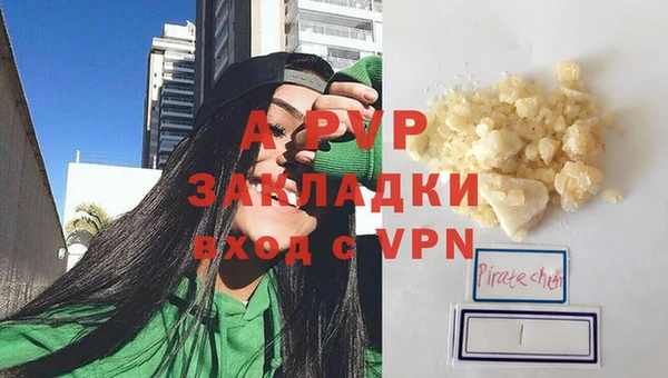 индика Бронницы