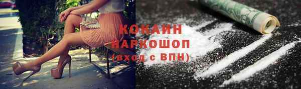 бошки Бородино