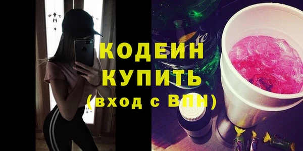 индика Бронницы