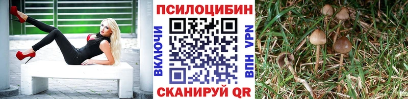 Псилоцибиновые грибы ЛСД  Оса 